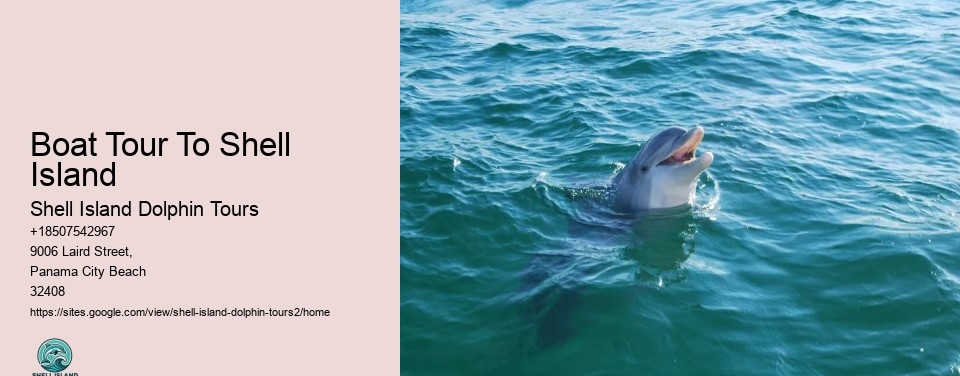 Boat Tour To Shell Island
