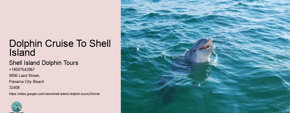 Dolphin Cruise To Shell Island