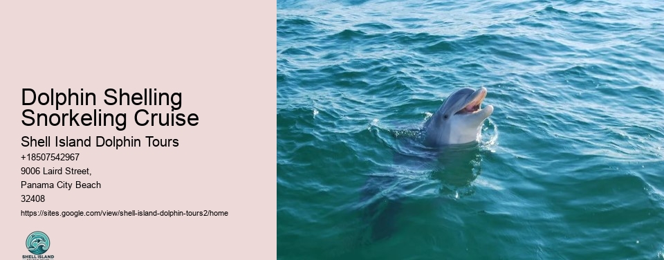 Dolphin Shelling Snorkeling Cruise