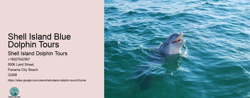 Shell Island Blue Dolphin Tours