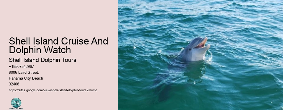 Shell Island Cruise And Dolphin Watch