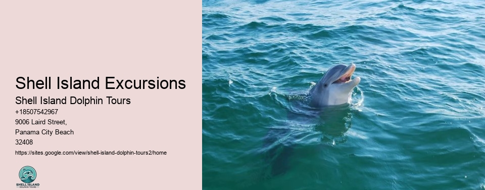 Shell Island Excursions