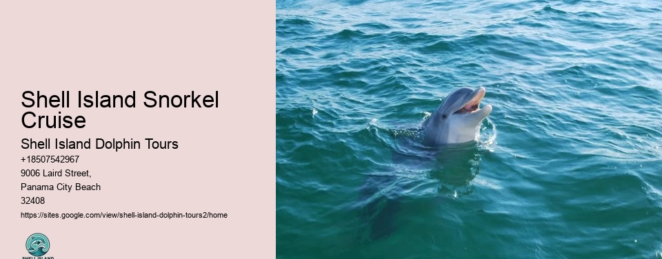 Shell Island Snorkel Cruise