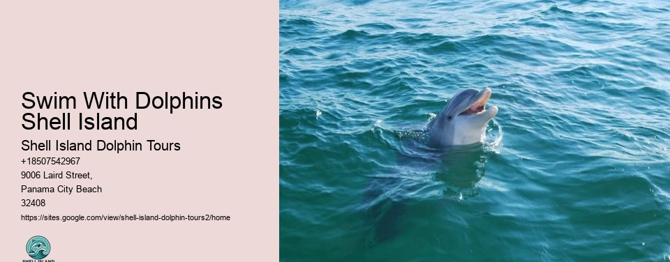 Swim With Dolphins Shell Island